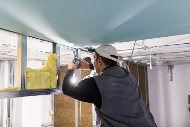 Best Insulation Replacement Services  in Kutztown, PA