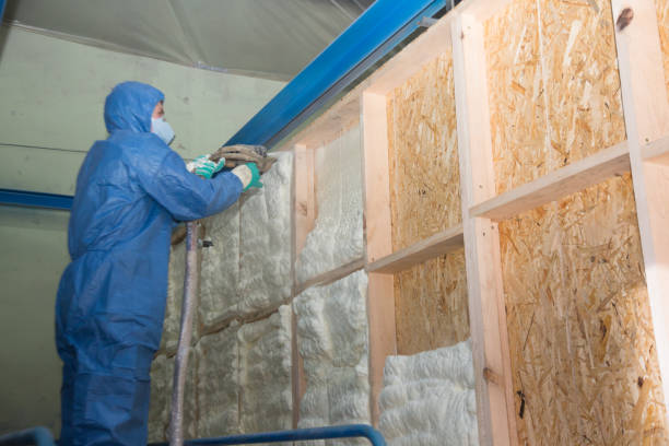 Best Local Insulation Services  in Kutztown, PA